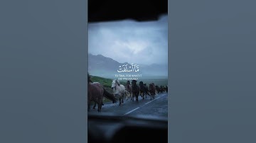 #القارىء #عبدالرحمن_مسعد #القارئ #تلاوة_خاشعة #قرآن #المصحف