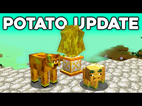 so minecraft added
