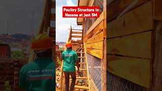 Poultry Structure In Nansana At Just 5m poultryfarming uganda trendingshorts