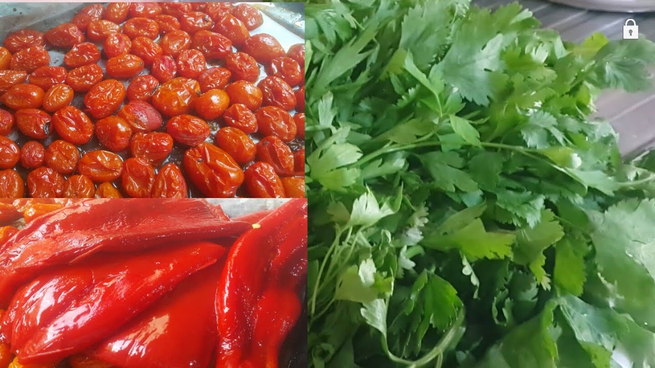 طريقتي في الاحتفاظ بالقزبر والمعدنوس بذون مجمد وطريقة تحضير التحميرة صحية وصلصلة بتزا #تحضيرات رمضان