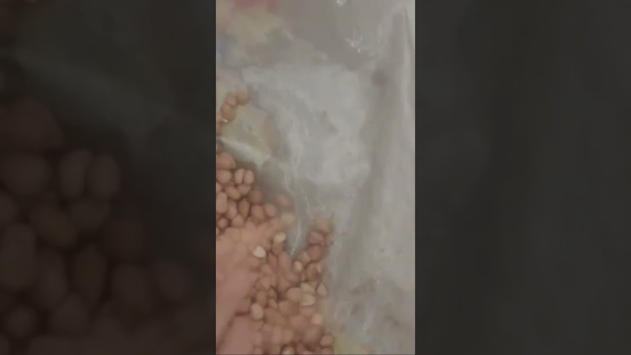 Single chute peanut color sorter machine