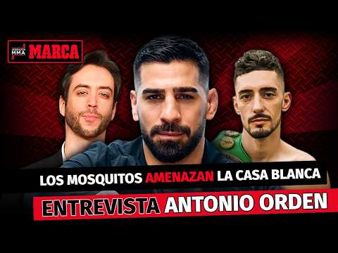 ACTUALIDAD ILIA TOPURIA - Las NUEVAS IDEAS para DWT de JORDI WILD