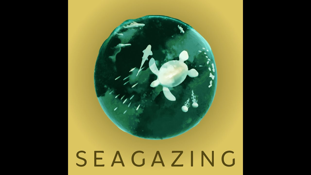 SeaGazing