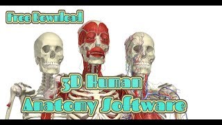 Free 3D Human Anatomy Software