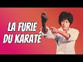 Wu Tang Collection - La Furie du Karaté (Two Dragons fight against tiger)
