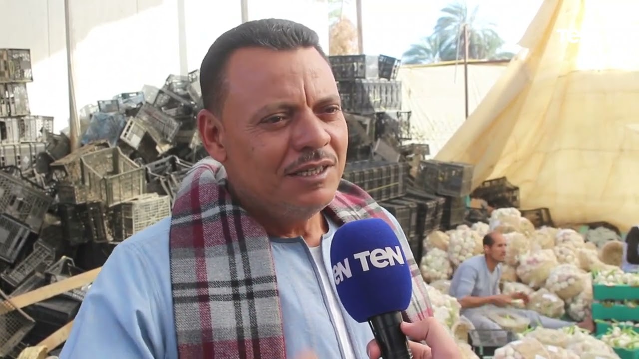 شاهد | القرية الأولى على مستوى الجمهورية في زراعة الثوم