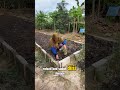 Raised bed/bedengan jumbo #kebunsendiri #dataranrendah #petanipemula #petaniindonesia #tipsandtrik
