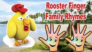 Rooster Cartoon Animated Nursery Finger Family Rhymes | Chick Finger Family
