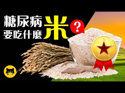 6種糖尿病最健康的米推薦 （低gi米）