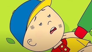 the accident caillou wildbrain kids