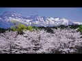 かあさんの歌 - ダークダックス