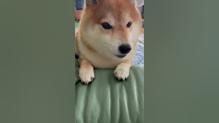 なんてお話しているのかな？