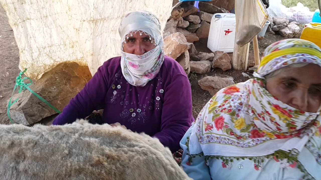 Ağaçlıkköy Yaylası