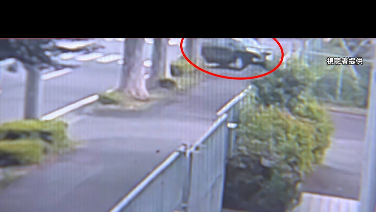 死亡 事故 の 瞬間