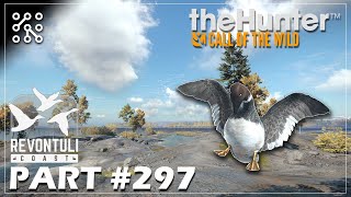 Jak se loví vodní ptáci na Revontuli? #297 | The Hunter: Call of the wild | Česky