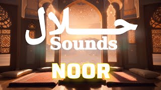 Halal Sounds: NOOR | No Copyright Background Nasheed | Best Nasheeds