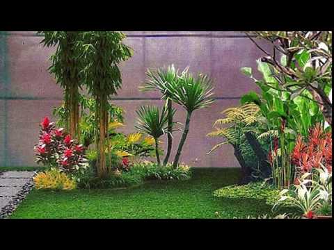 20 desain taman minimalis didalam