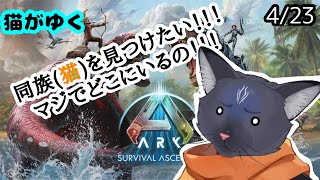【ARK: Survival Ascended】周りが猫見つけてるのに自分だけ見つからないのバグでは？？？【 VTuber　黒猫龍星 】　＃ケモノVTuber　＃ASA