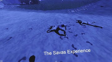 The Rust Savas Experience