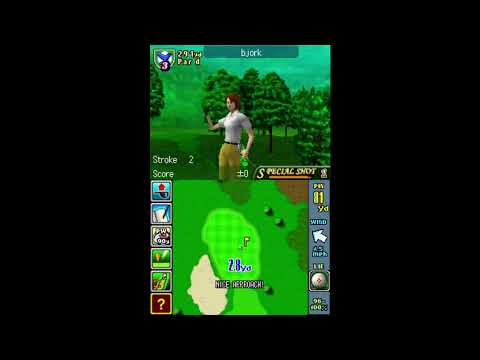 DS: True Swing Golf