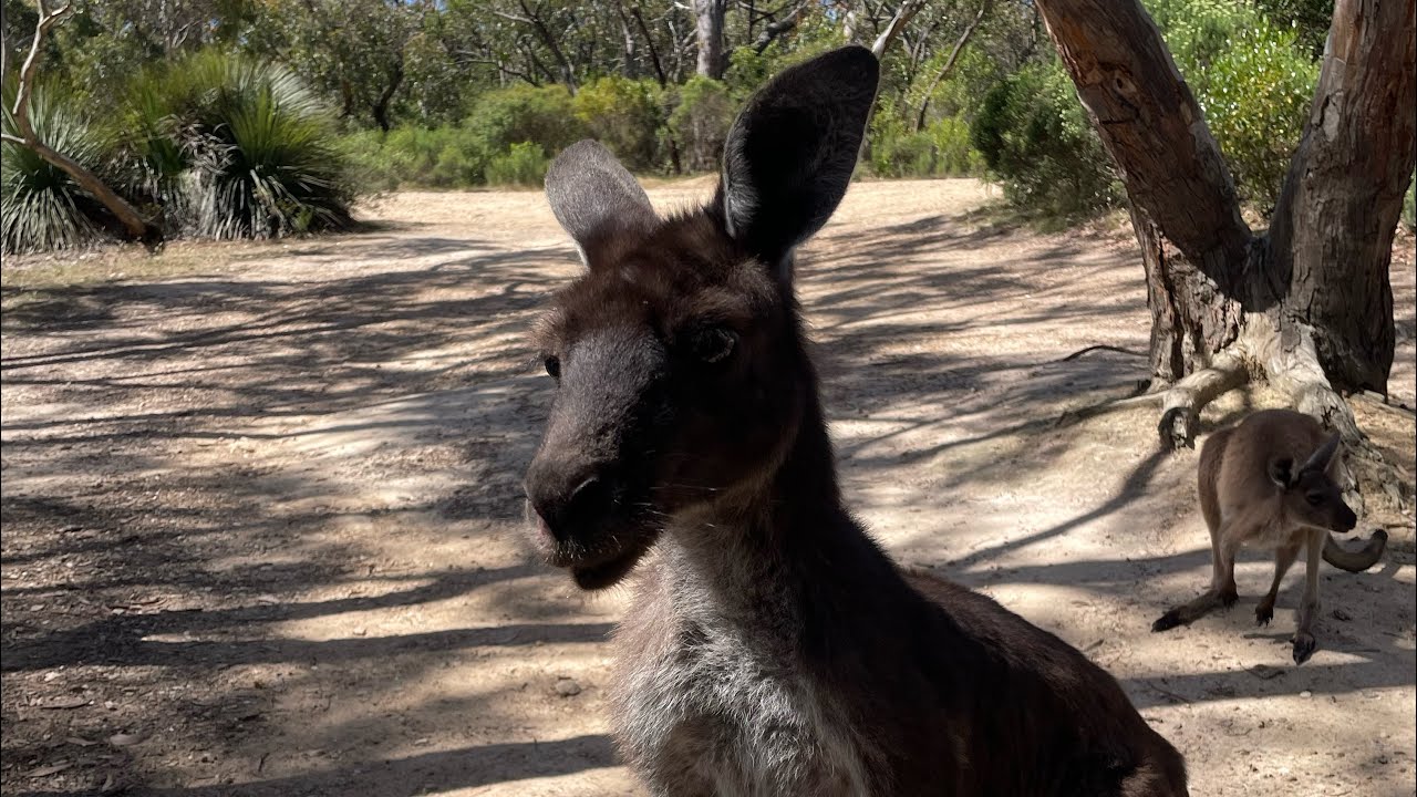 Deep Creek 02 december 2025