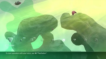 VEV Freshwater Tardigrades // Stage 1 Dynamic Theme