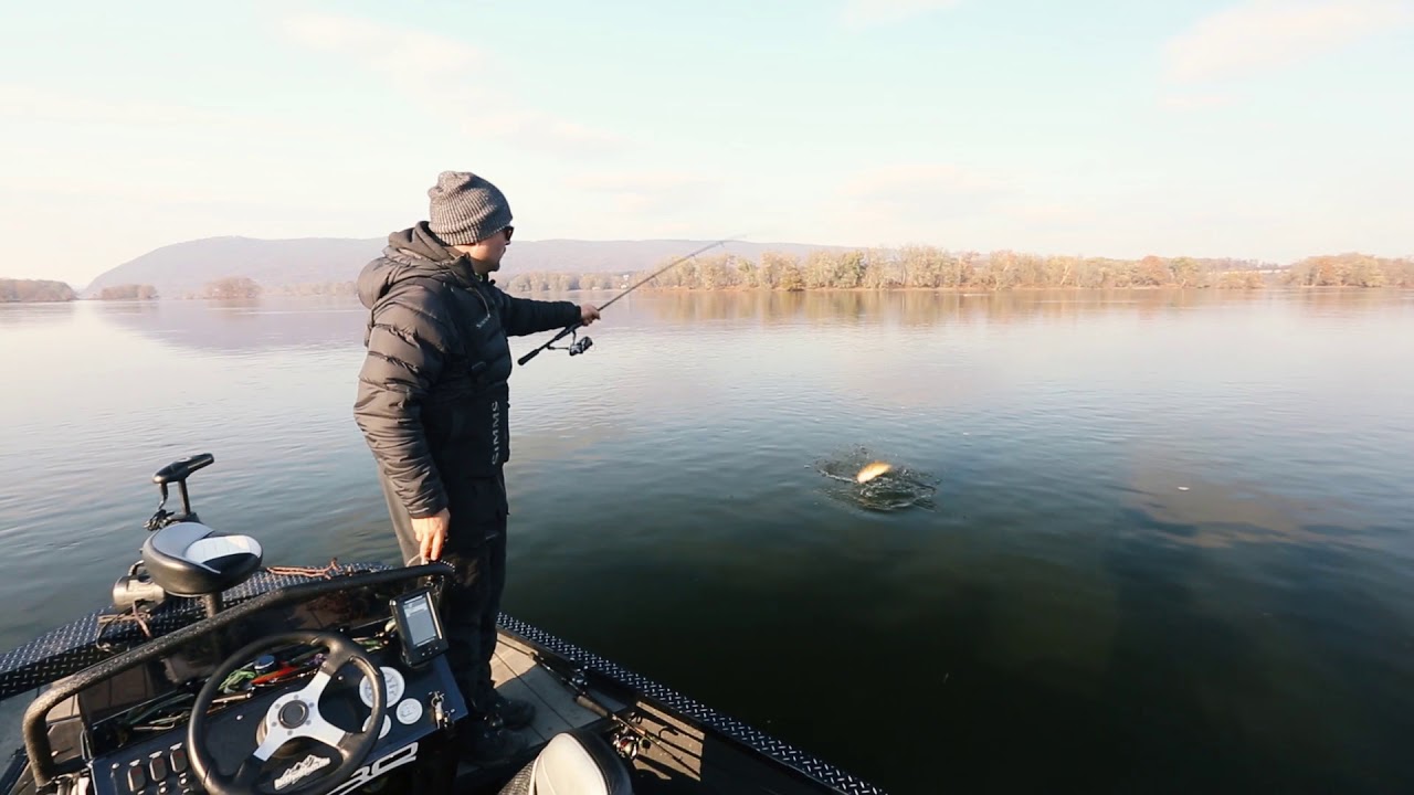 Z-Man Project Z ProFileZ: Joe Raymond