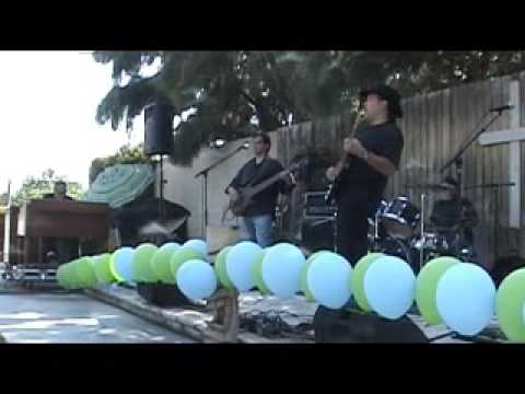 Brothers N' Blues live at my 30th Re-Wedding Party schlegel law group