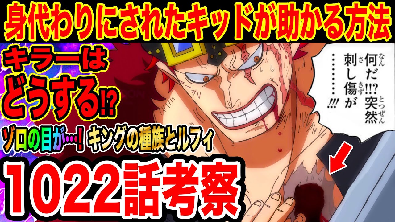 ワンピース1022話考察 このままではキッド死亡 キラーがホーキンスを倒す方法 ゾロの左目開眼の伏線が止まらない キングの種族とルフィの関係 ワンピース ネタバレ ワンピース考察 Youtube