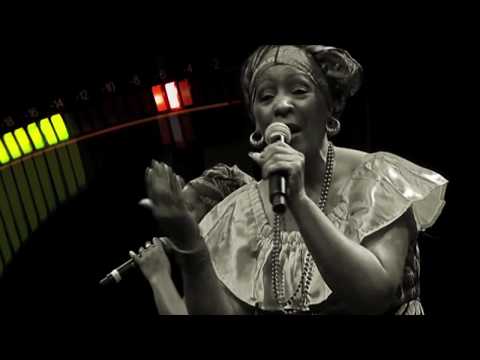 Musicology Live at the Old Town School of Folk Music - sizzle