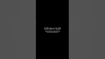 شاشة سوداء قران كريم | سورة النحل (الآية ٥٢ - ٥٤) القارئ سلمان العتيبي