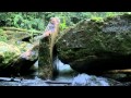 Yanawana - The Spirit of the Water