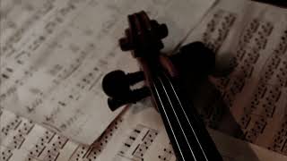 the violin and cello are talking to each other (classical playlist)