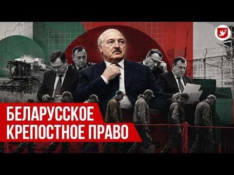 Why does Lukashenko wage a "battle for the harvest" in Belarus every year? | Interview | Romanchuk
