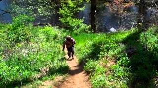 Nature Walk-digital scavenger hunt.mp4