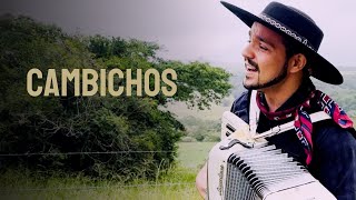 Cambichos • Cesar Filho - Gaiteiro