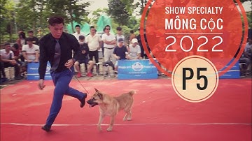 P5: Cuộc Thi trên Chảo Lửa & Chó H