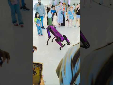 Dubai dairies#habibi#travel#music#luxury#uae#dubai#life#youtube#shorts#like#food#dubaimall#art#love
