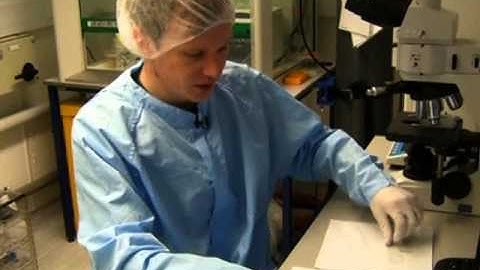 Graphene Called Amazing, Versatile Material of the Future