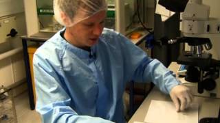 Graphene Called Amazing, Versatile Material of the Future