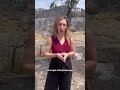 🔥 El incendio en Peñarroya de Tastavins (Teruel) continúa en activo aunque ya más contenido