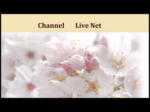 اريام يا ورق صوتك