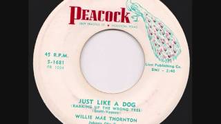 Video thumbnail of "Big Mama Thornton - Just Like a Dog"