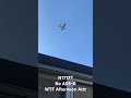 N17177 No ADS-B WTF Afternoon Attack Dawn Patrol Northville MI #aerialstalker #aviation #flying