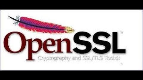 Add extensions to the self-signed certificate or sign the CSR certificate with extensions in Openssl