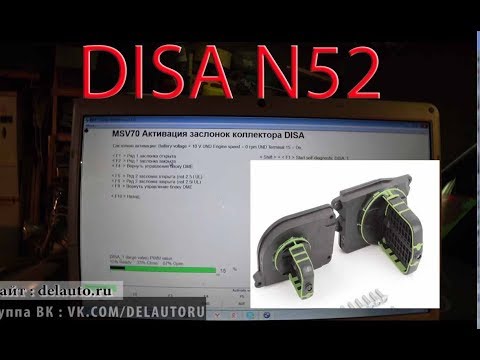 Video: How To Spell Disa