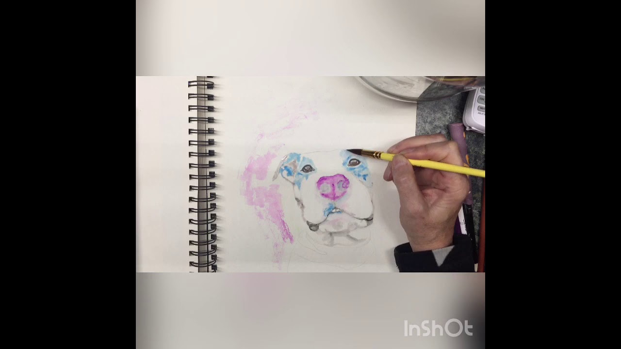 Pit bull watercolor painting time lapse