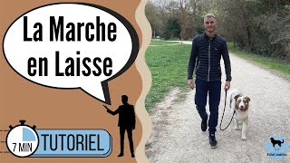 Apprendre la Marche en Laisse à son chien (Tuto 7 minutes)