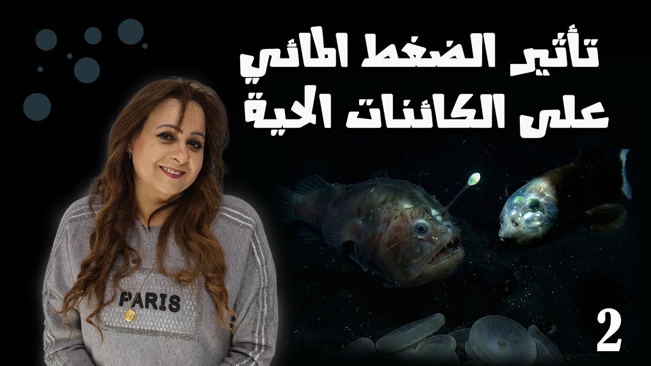 تأثير الضغط المائي على الكائنات الحية  ||  Part 2  ||  