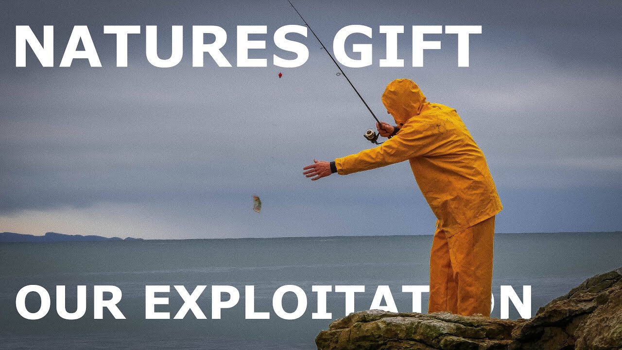 The Negative Externalities of Commercial Fisheries